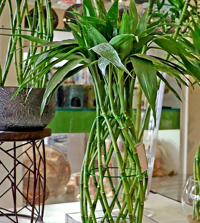 decoração com bambu
