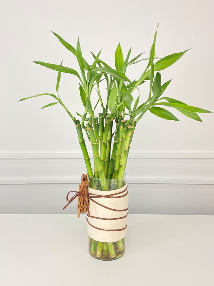 ideias de decoração com bambu para sala pequena