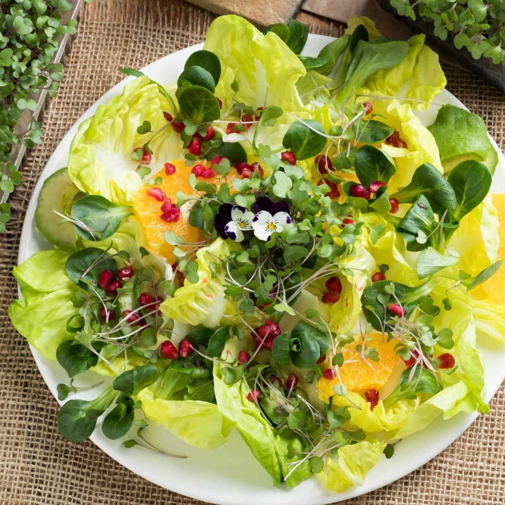erros comuns decoração tomate murcho