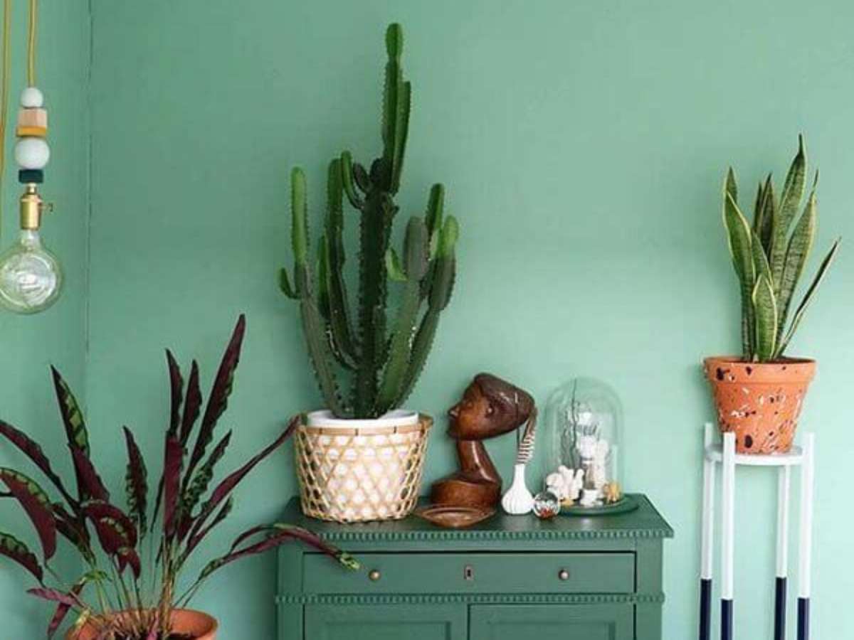decoração de quarto infantil com tema floresta verde
