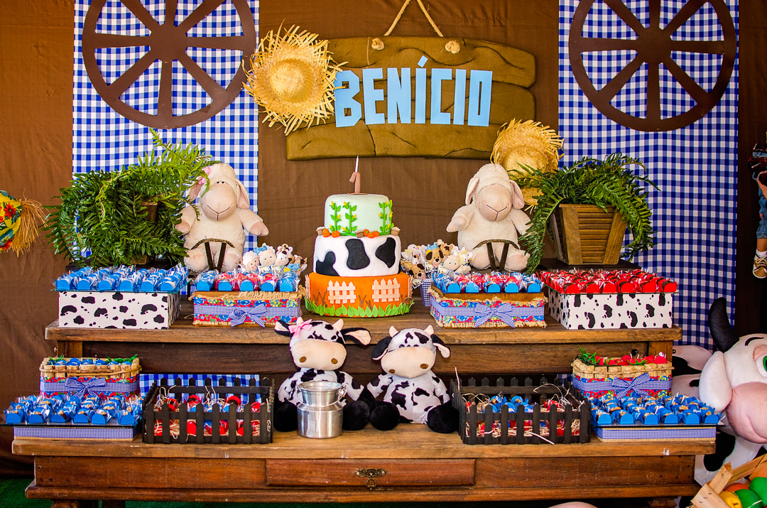 decoração fazendinha simples versus luxo