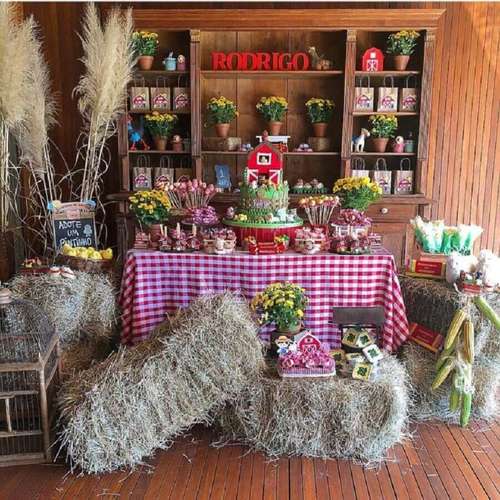 erros comuns decoração festa fazendinha