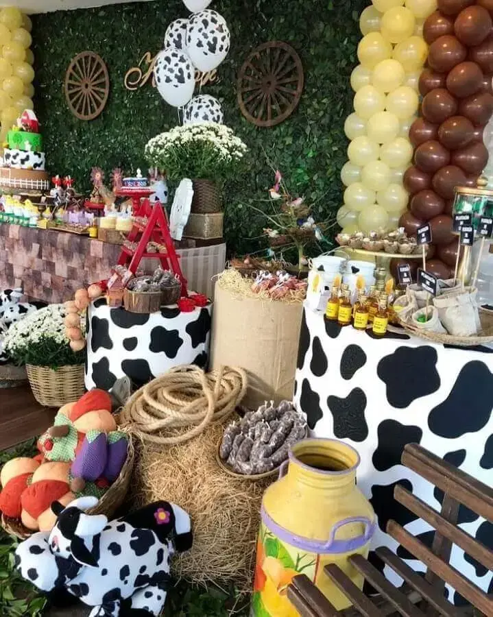 decoração fazendinha simples versus luxo