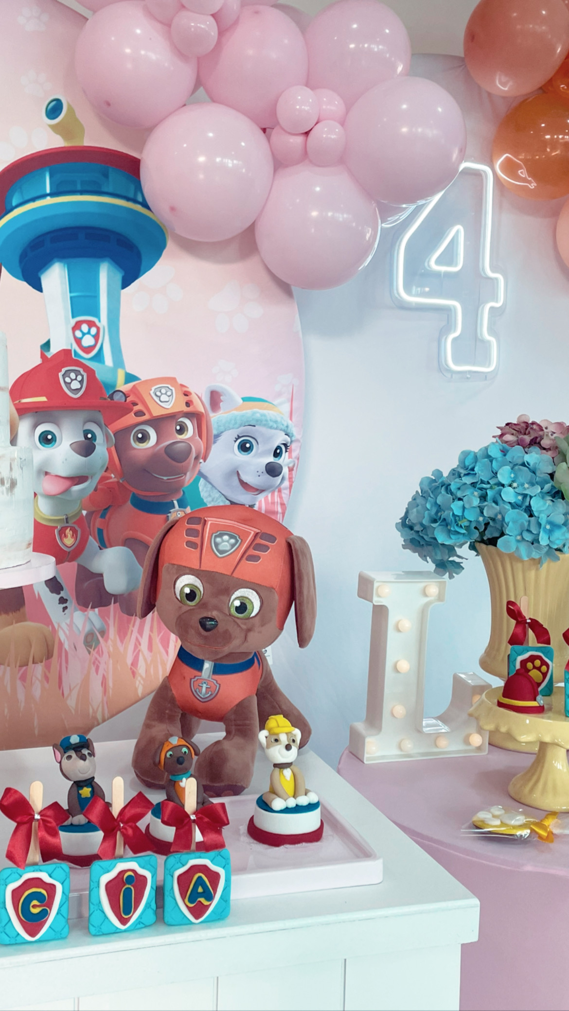 decoração patrulha canina menino