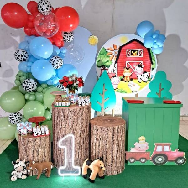 quanto custa decoração de festa de 2 anos para menino