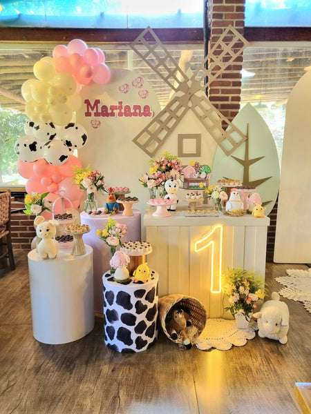 quanto custa uma decoração de aniversário simples feminina