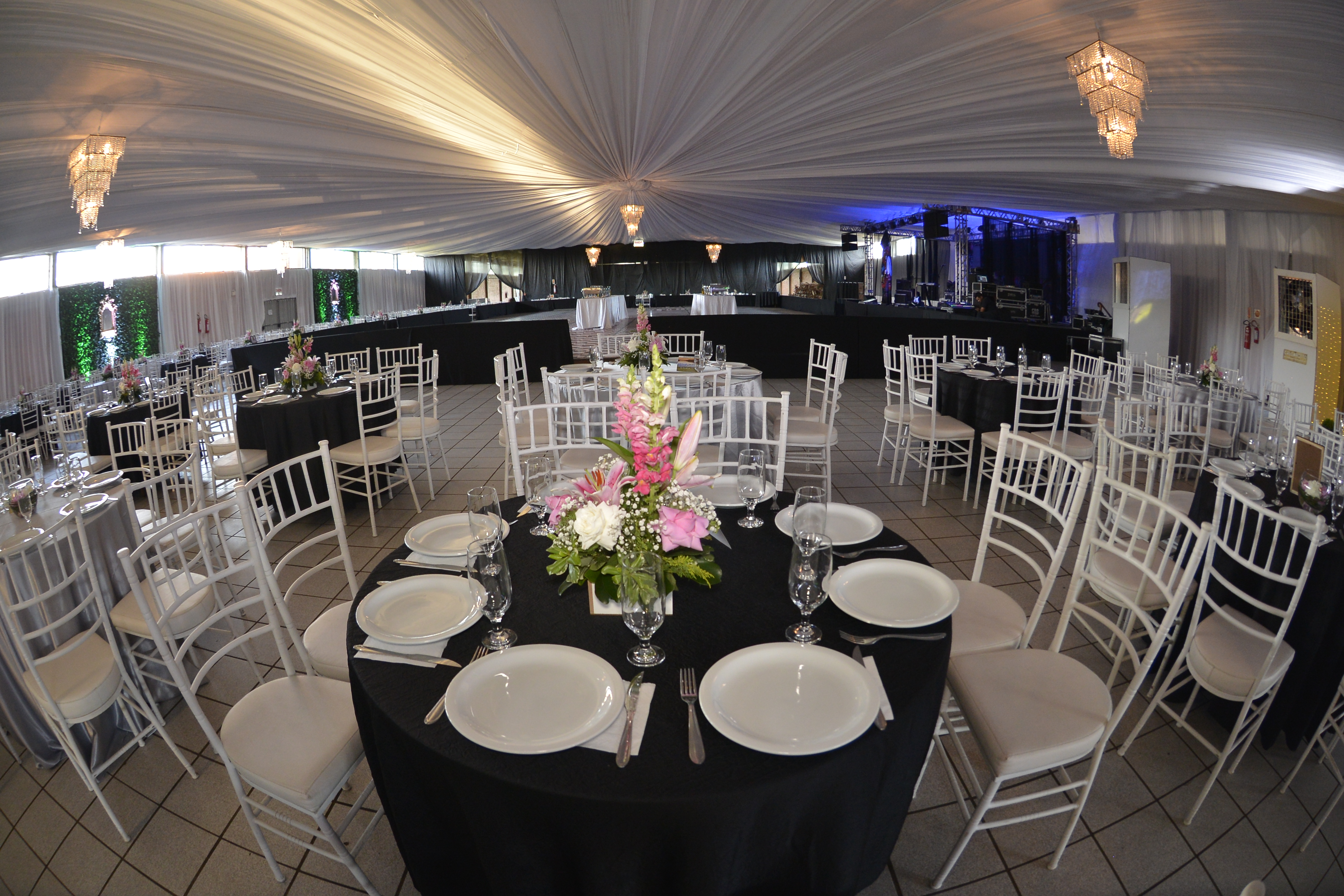 decoração formatura psicologia