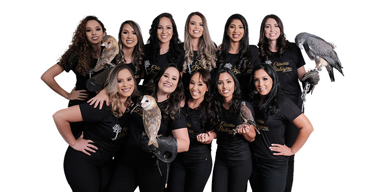 decoração formatura ensino médio tema galáxia