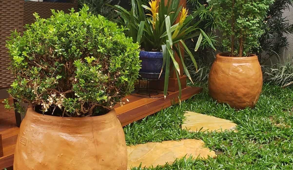 ideias de decoração de jardim com buxinho