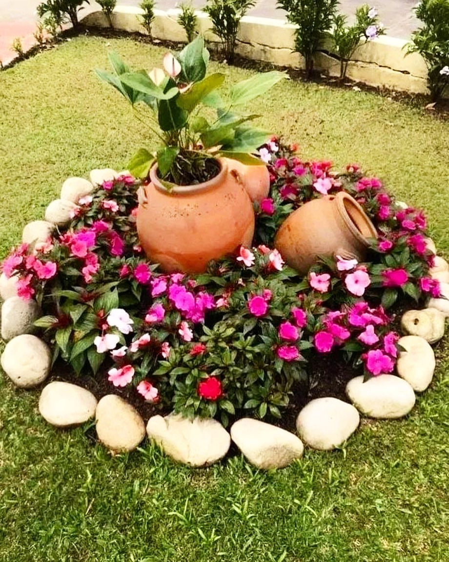 plantas para jardim simples