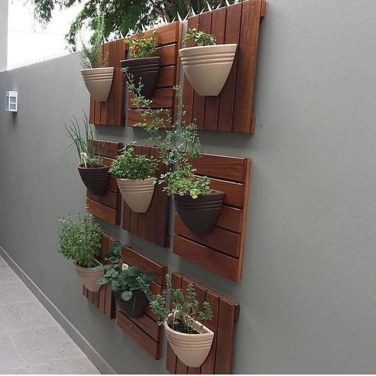 manutenção de jardim simples
