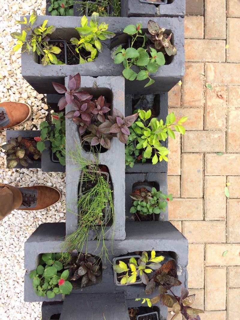 como decorar jardim gastando pouco