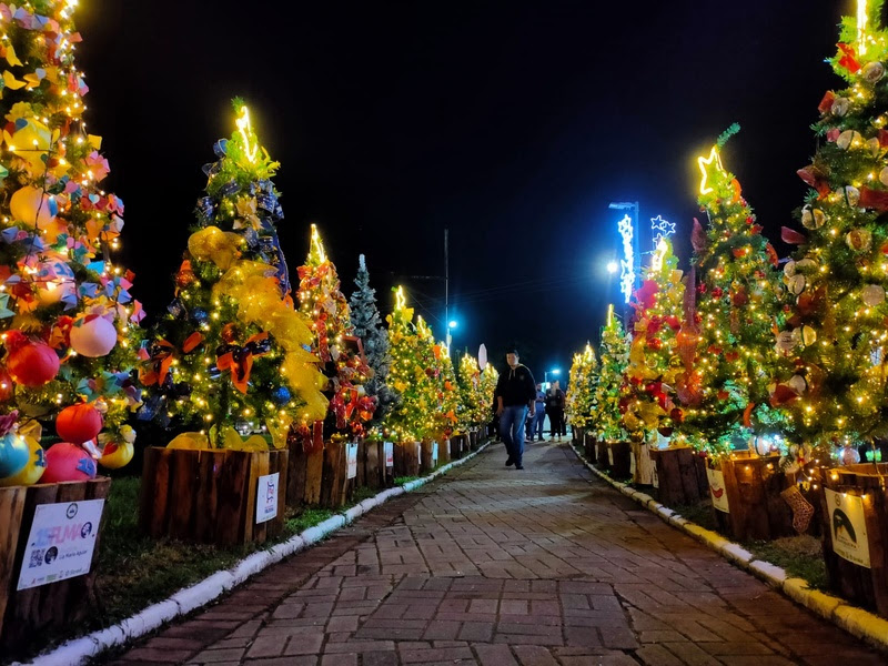 fotos decoração de natal Campos do Jordão