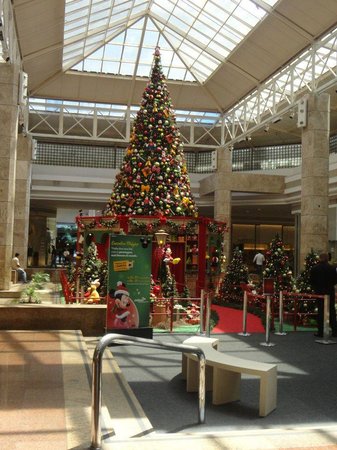 árvore de natal gigante londrina
