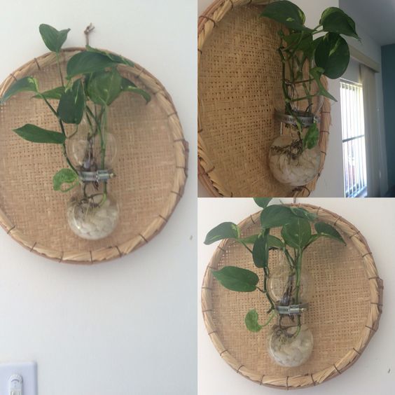 como evitar erros na decoração de palha na parede