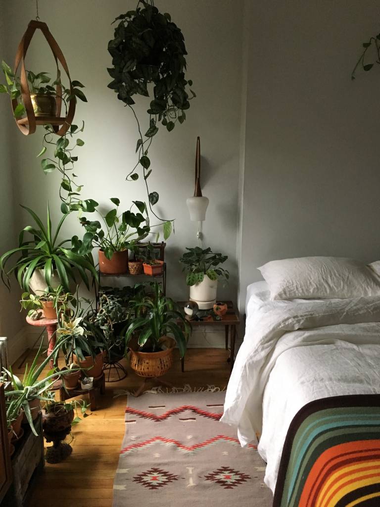 decorar quarto com plantas
