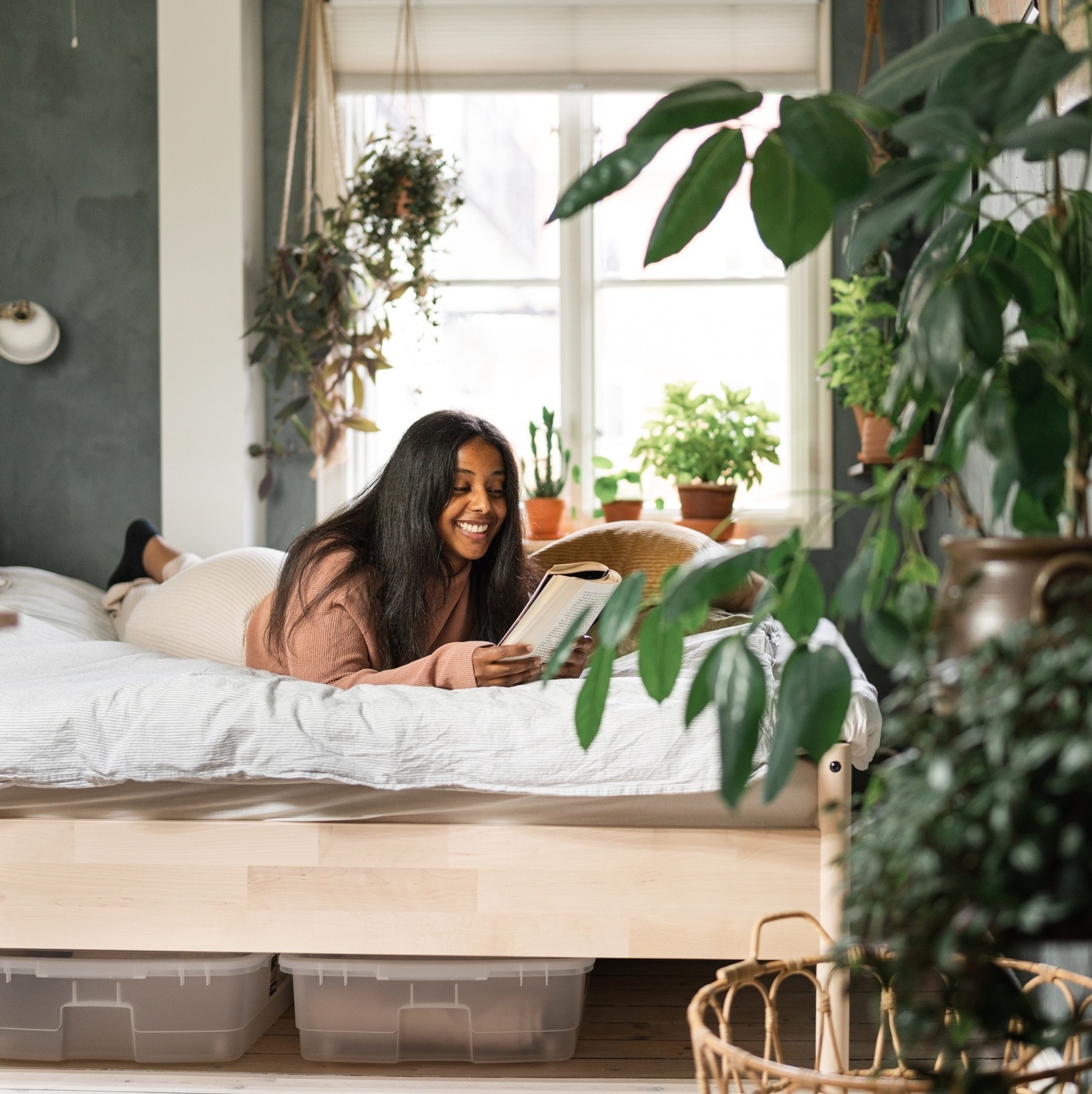 benefícios das plantas no quarto
