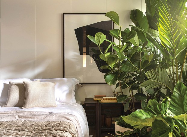 plantas purificadoras de ar para quarto