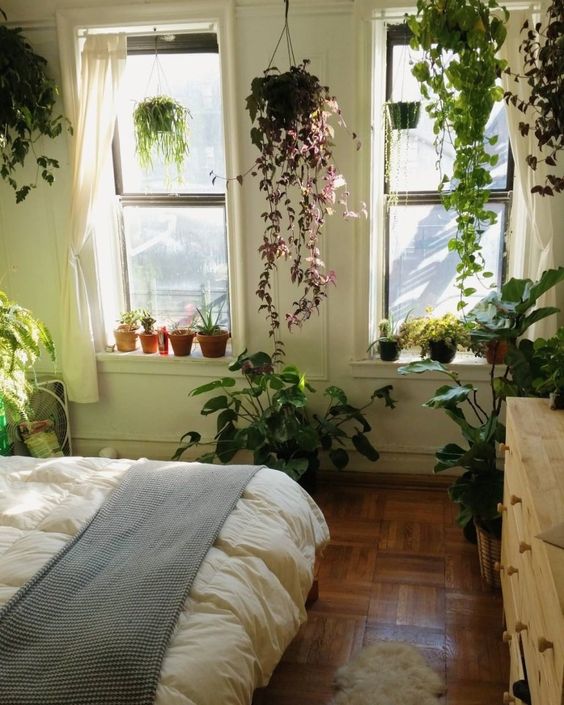 decorar quarto com plantas