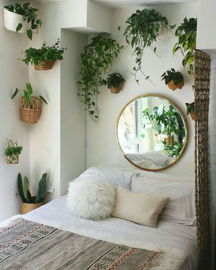 plantas de interior para quarto