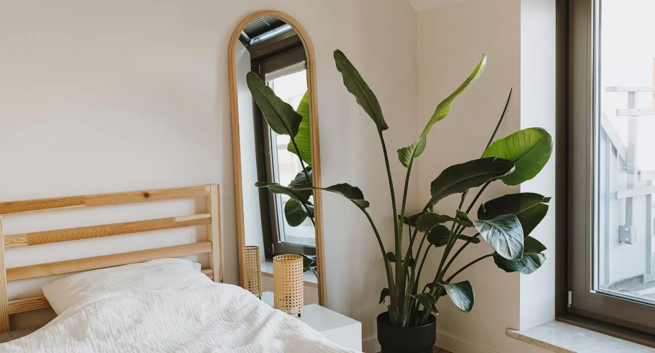 urban jungle no quarto