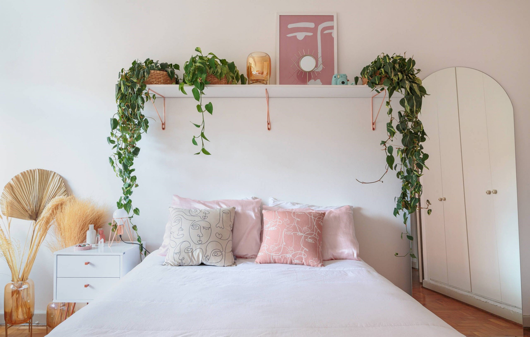 plantas de interior para quarto