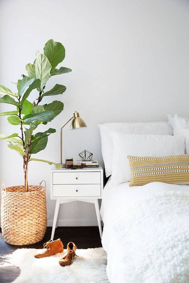 decoração boho com plantas