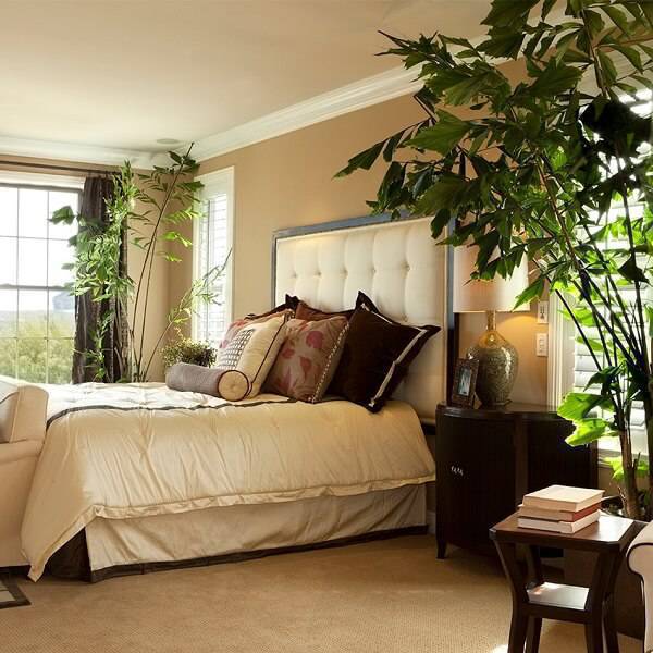 plantas pendentes no quarto