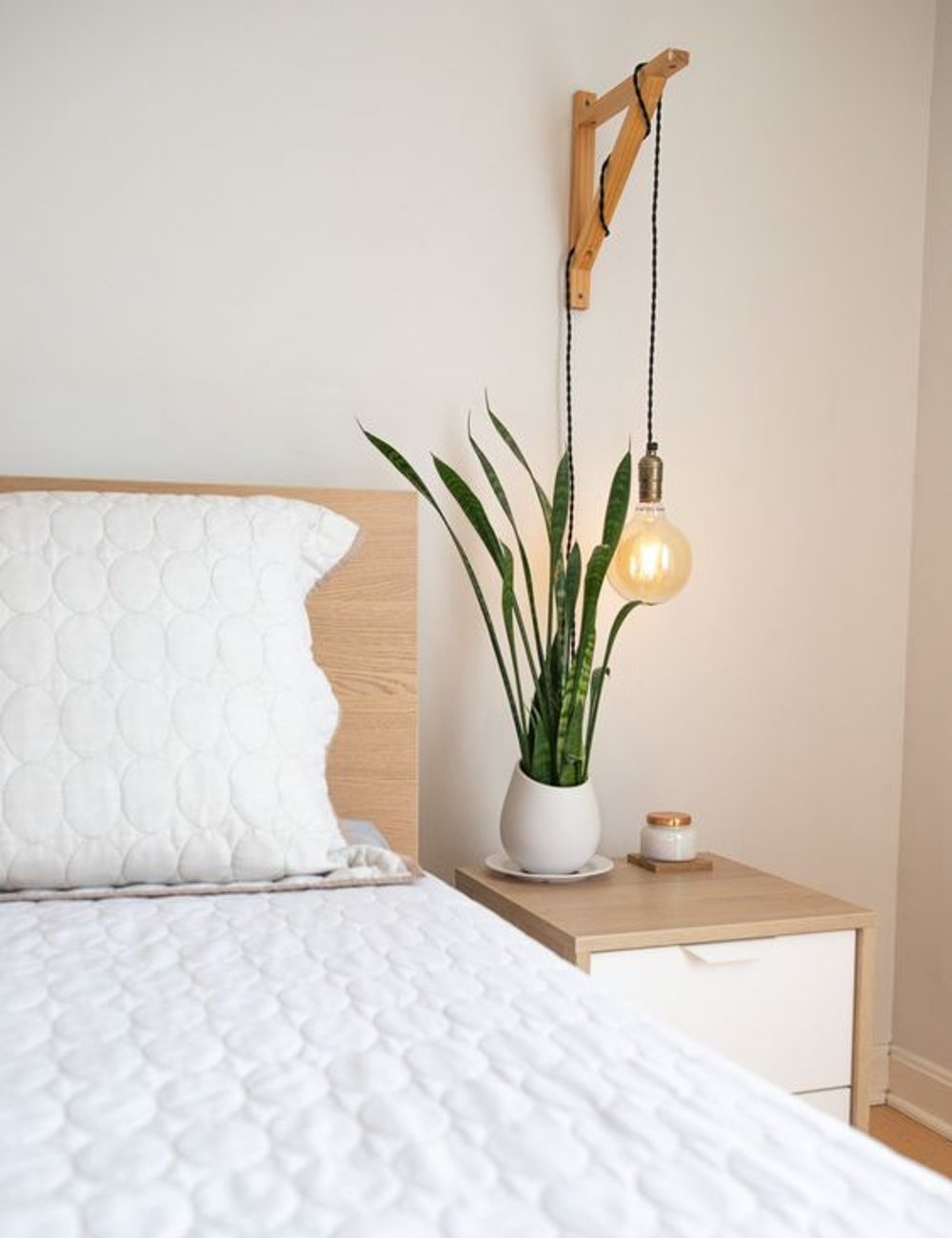 como escolher plantas para o quarto