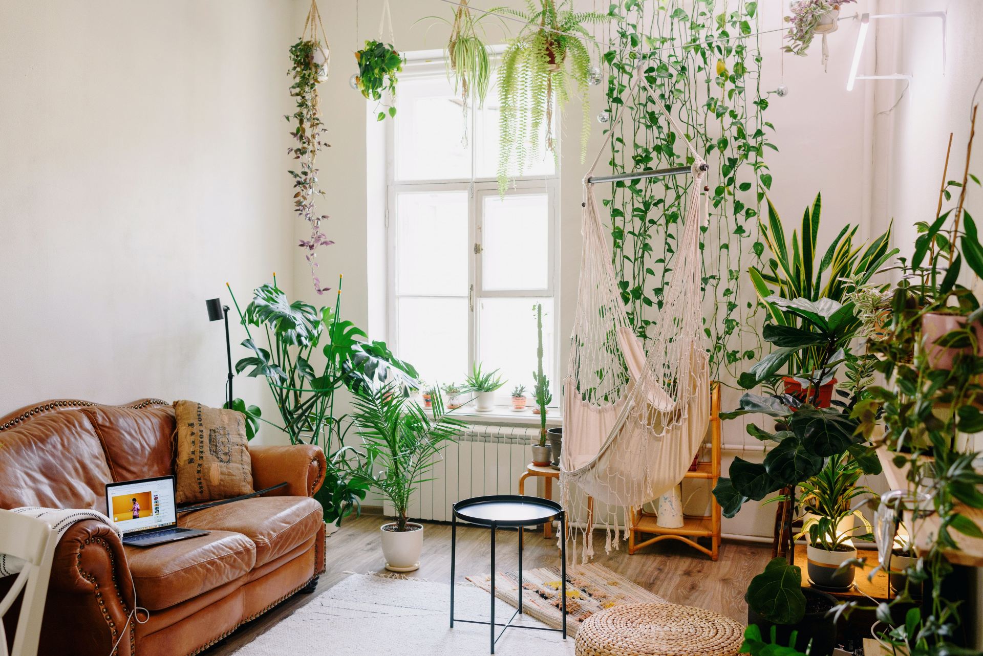 decoração de sala pequena com plantas