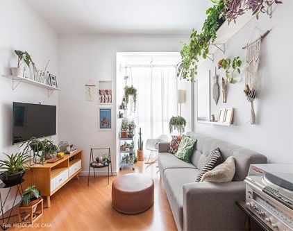 como cuidar zamioculca em sala com pouca luz