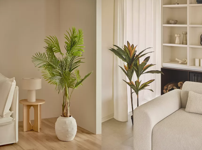 melhores plantas para sala pequena ideias