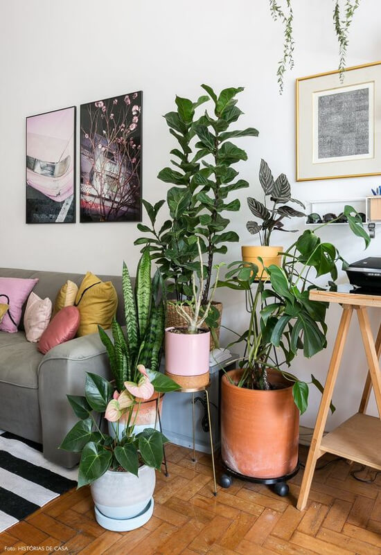 erros comuns decorar sala pequena com plantas
