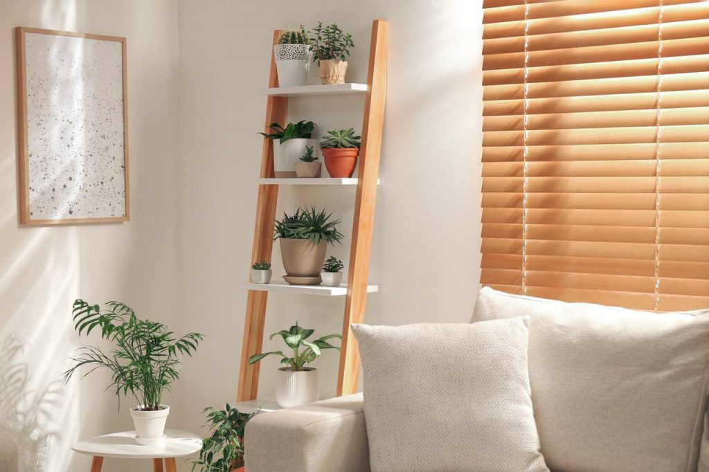 erros comuns decorar sala pequena com plantas