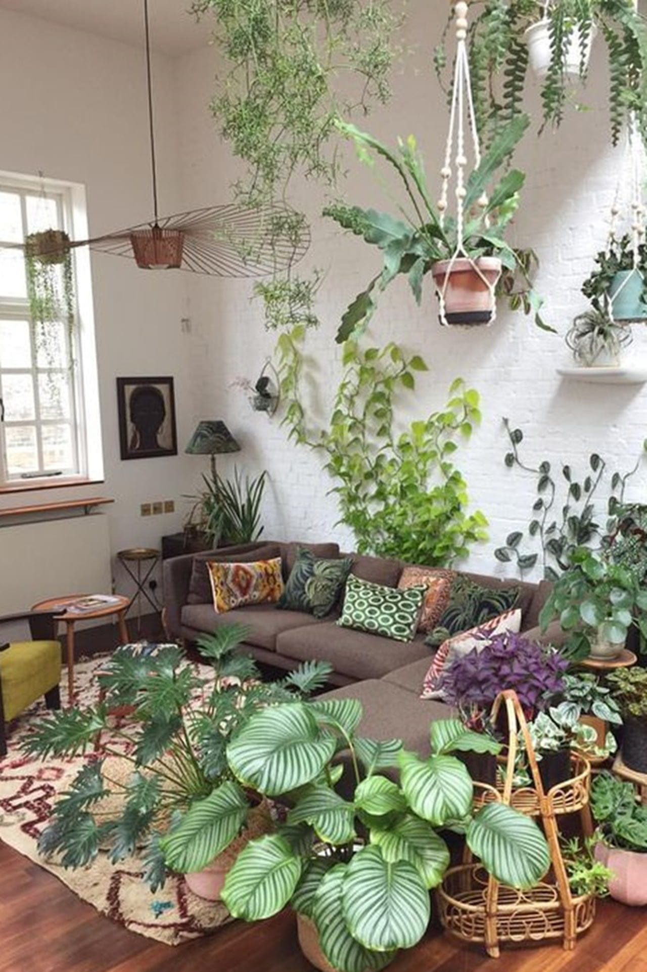 plantas pendentes ou de chão para sala pequena