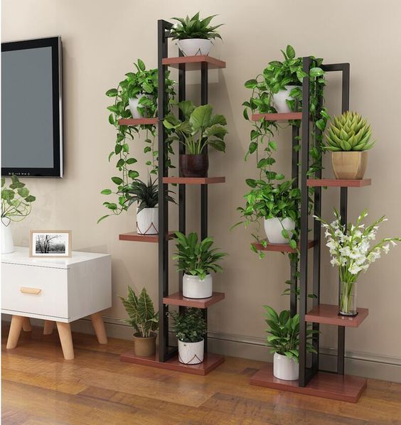 decoração de sala pequena com plantas