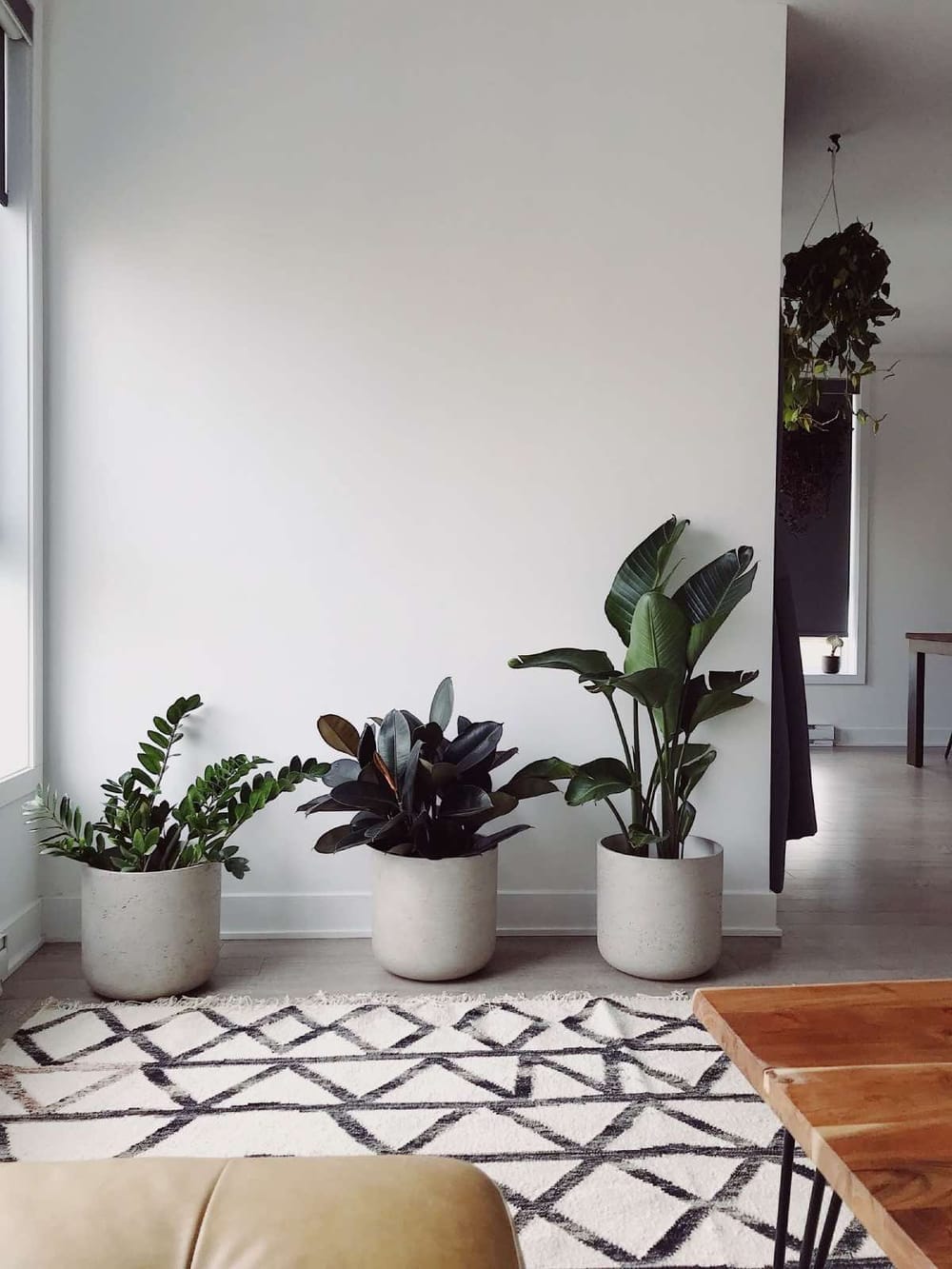 erros comuns decorar sala pequena com plantas
