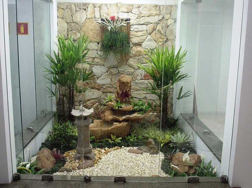 como escolher plantas para jardim com pouca luz