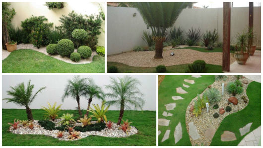 como escolher plantas para jardim com pouca luz