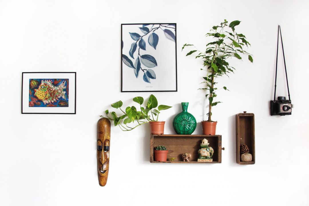 decoração ecológica vs decoração tradicional