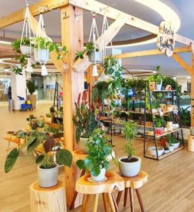 decoração ecológica