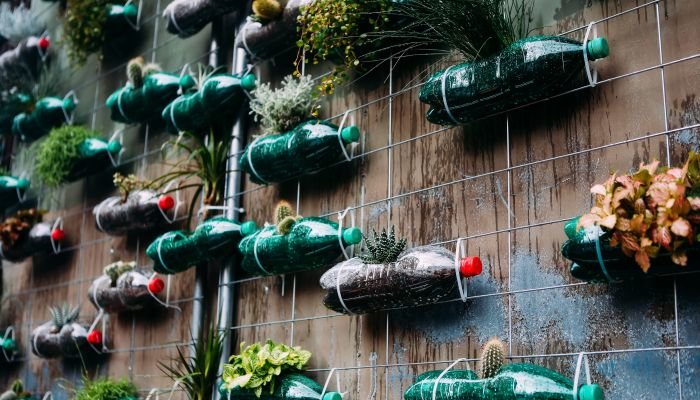 decoração ecológica