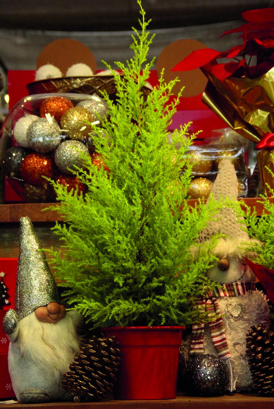 ideias criativas para decorar árvores no jardim