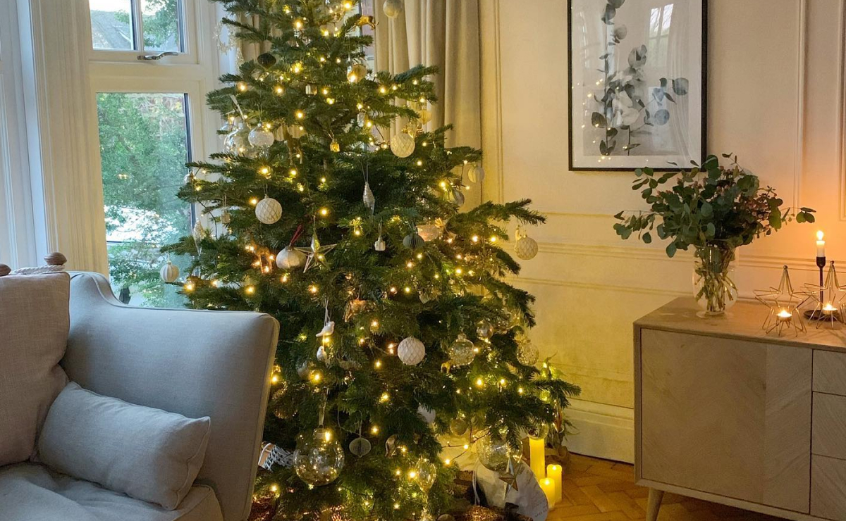 árvore decorada com luzes vs. sem luzes