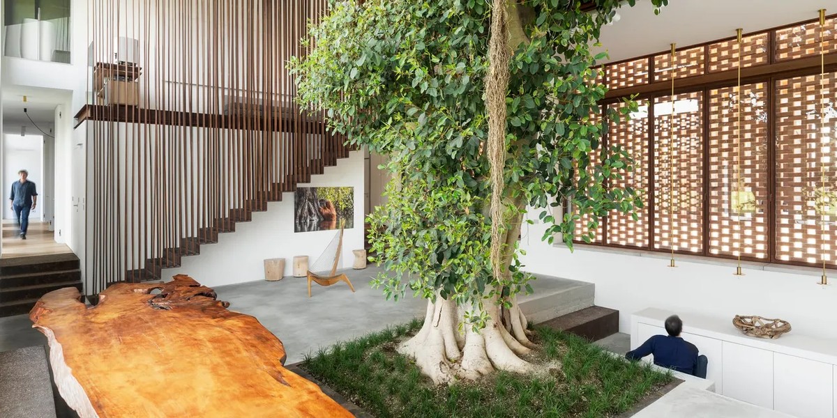 erros comuns ao decorar árvores naturais em casa