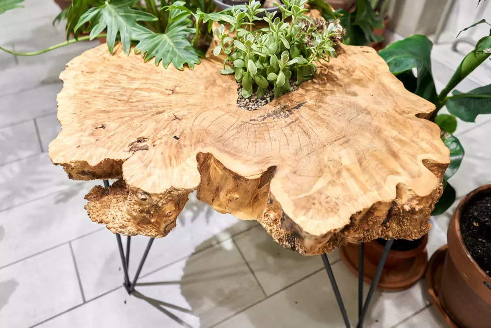 árvore decorada com luzes vs. sem luzes