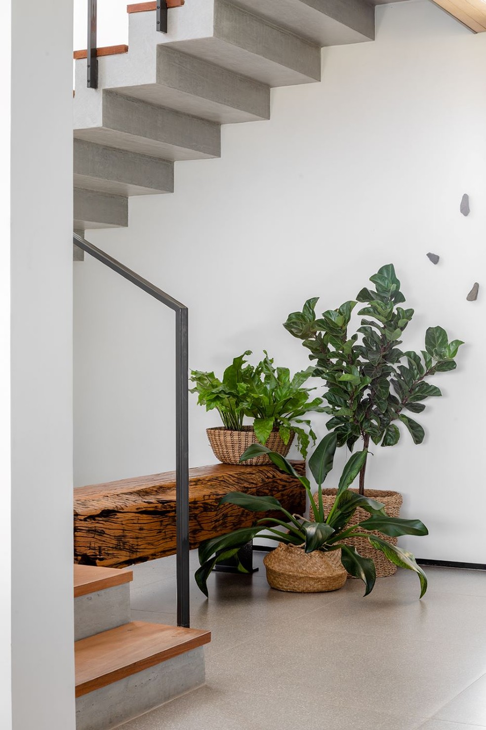 como decorar espaço sob escada com plantas