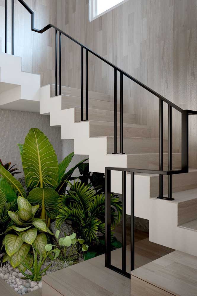 plantas para áreas com pouca luz