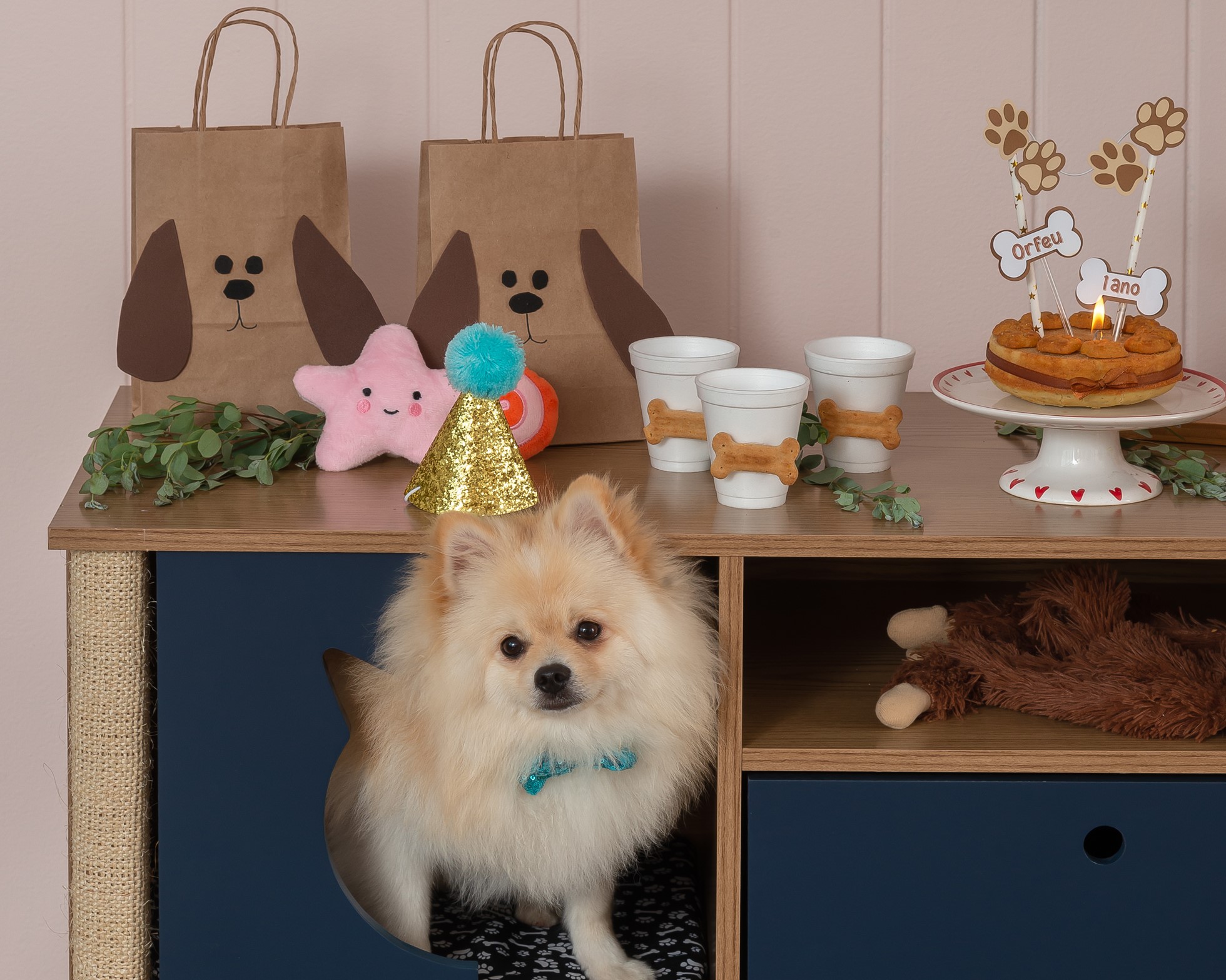 decoração festa de cachorro