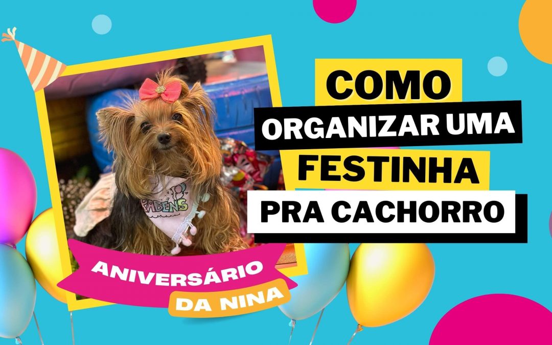 decoração festa cachorro simples e barata